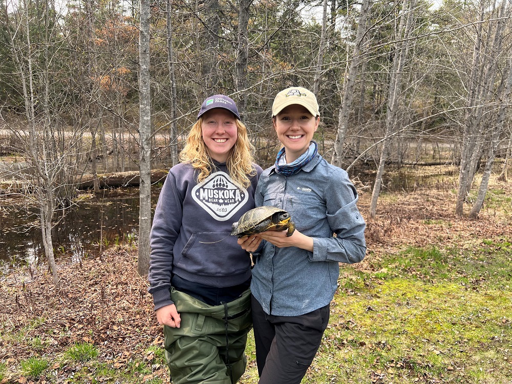 two people standing in nature, one person holding turtle