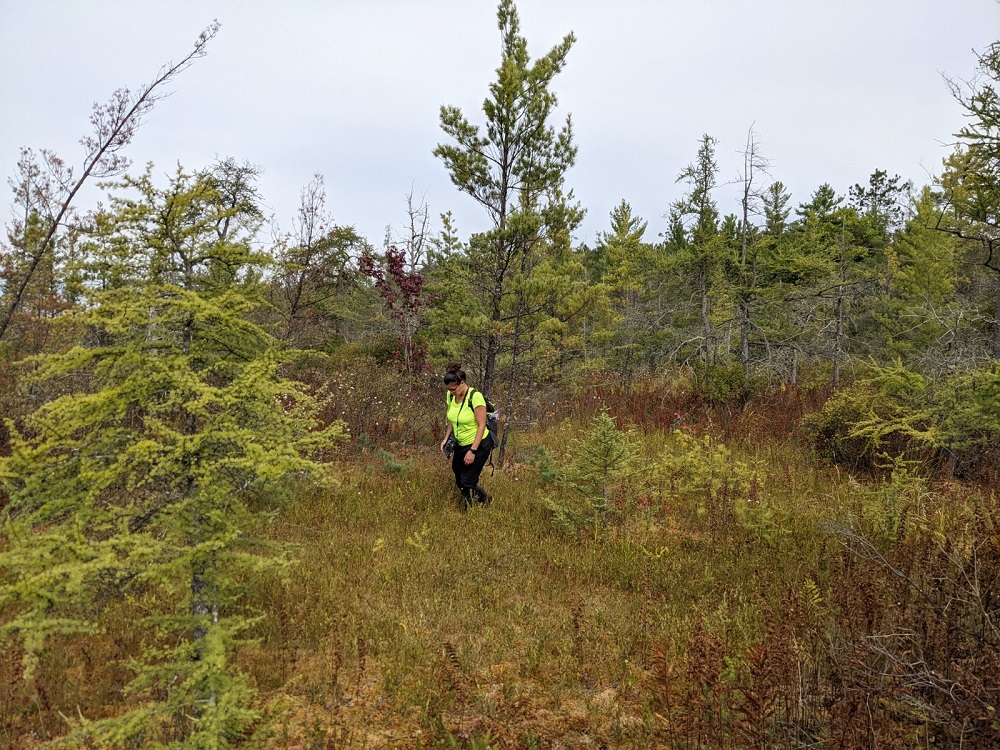person wearing high-vis out in field