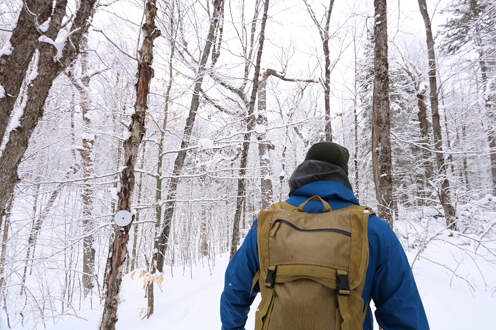 Person hiking on Track and Tower Trail in winter