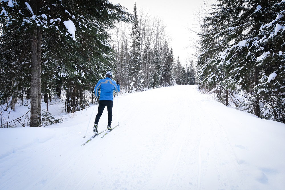 cross-country skier in forest