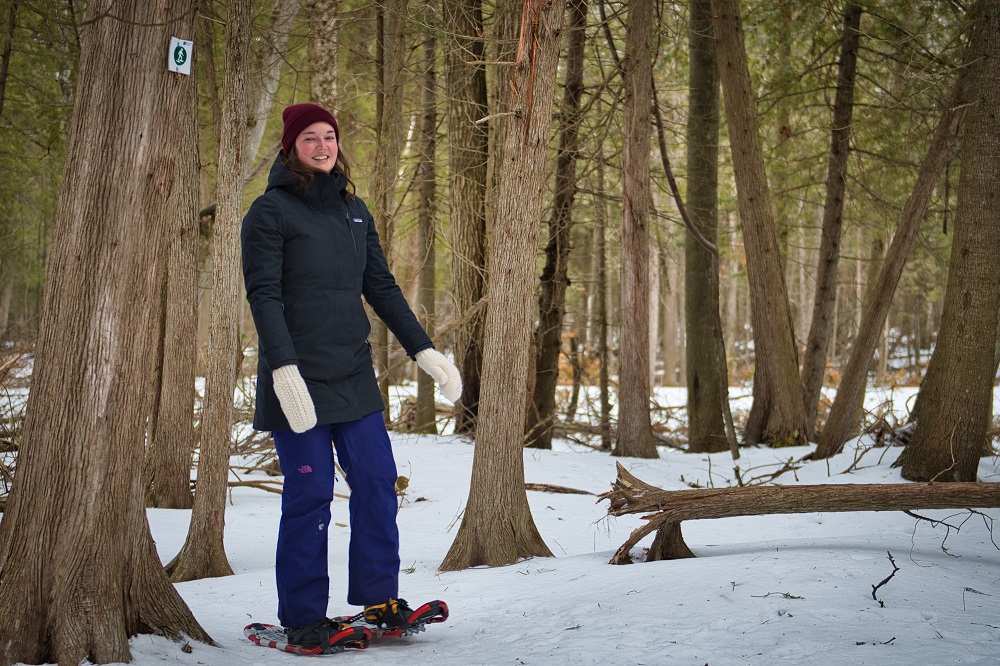 person snowshoeing in forest