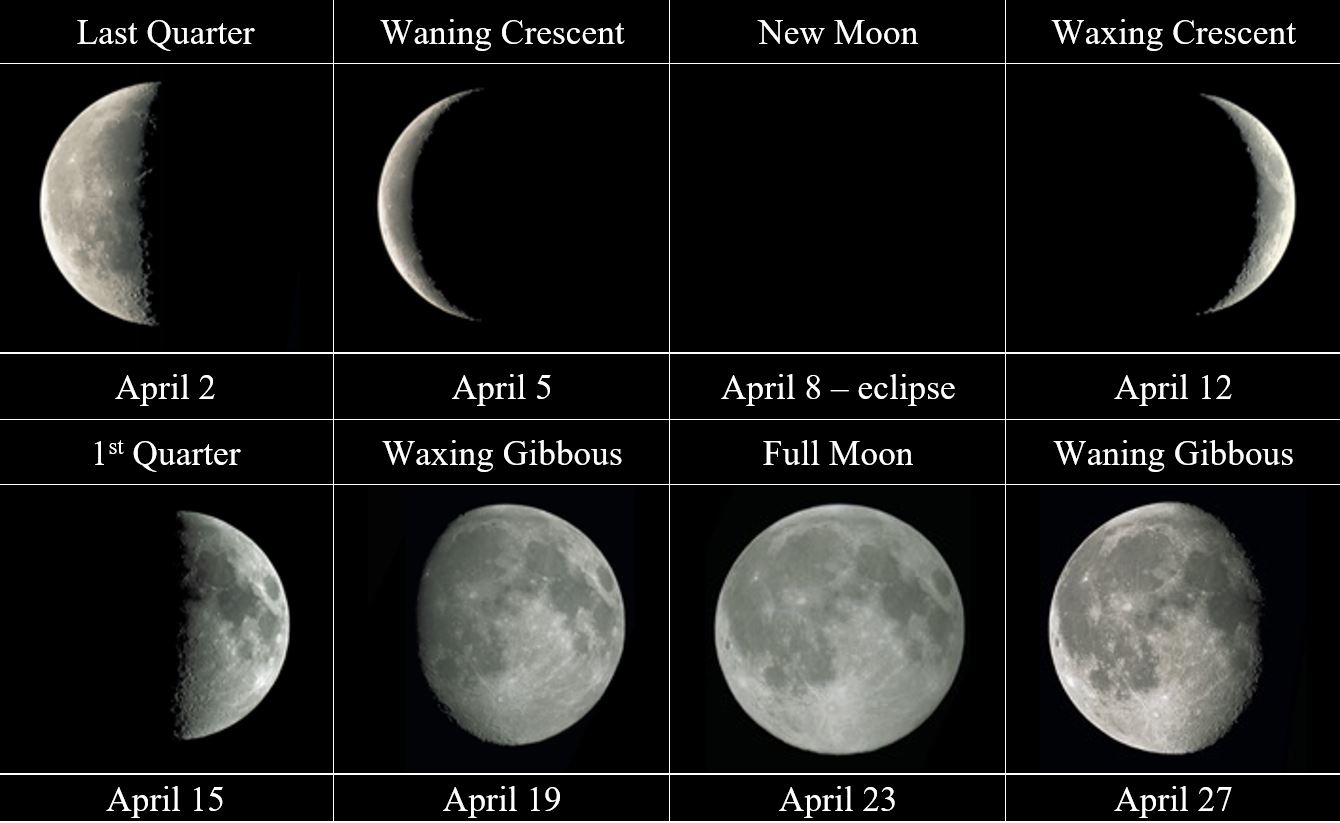 lunar phases