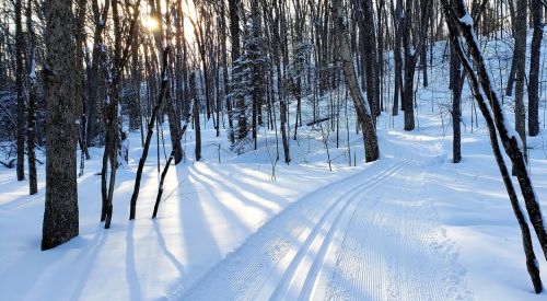 The Ontario Parks Snow Report