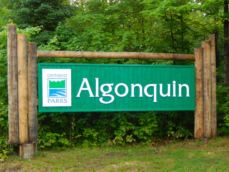 Algonquin