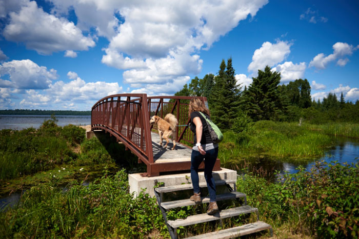 Dog and ownder walking across bridge