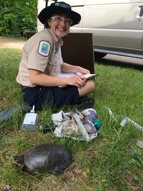 Turtle Research