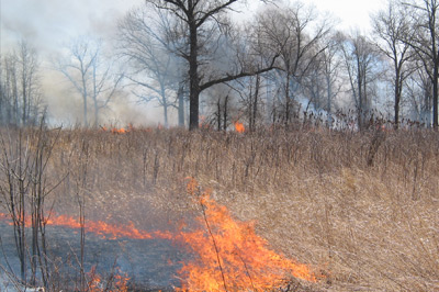 a prescribed burn