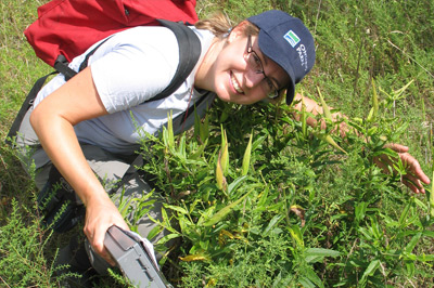 staff conducting monitoring research in the field