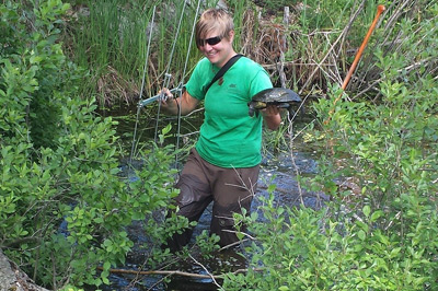 staff tracking and monitoring turtle activity