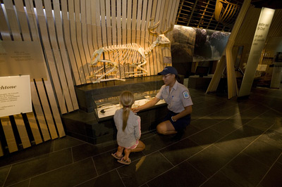 staff and visitor looking at exhibits