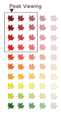 Leaf icons that show peak viewing range