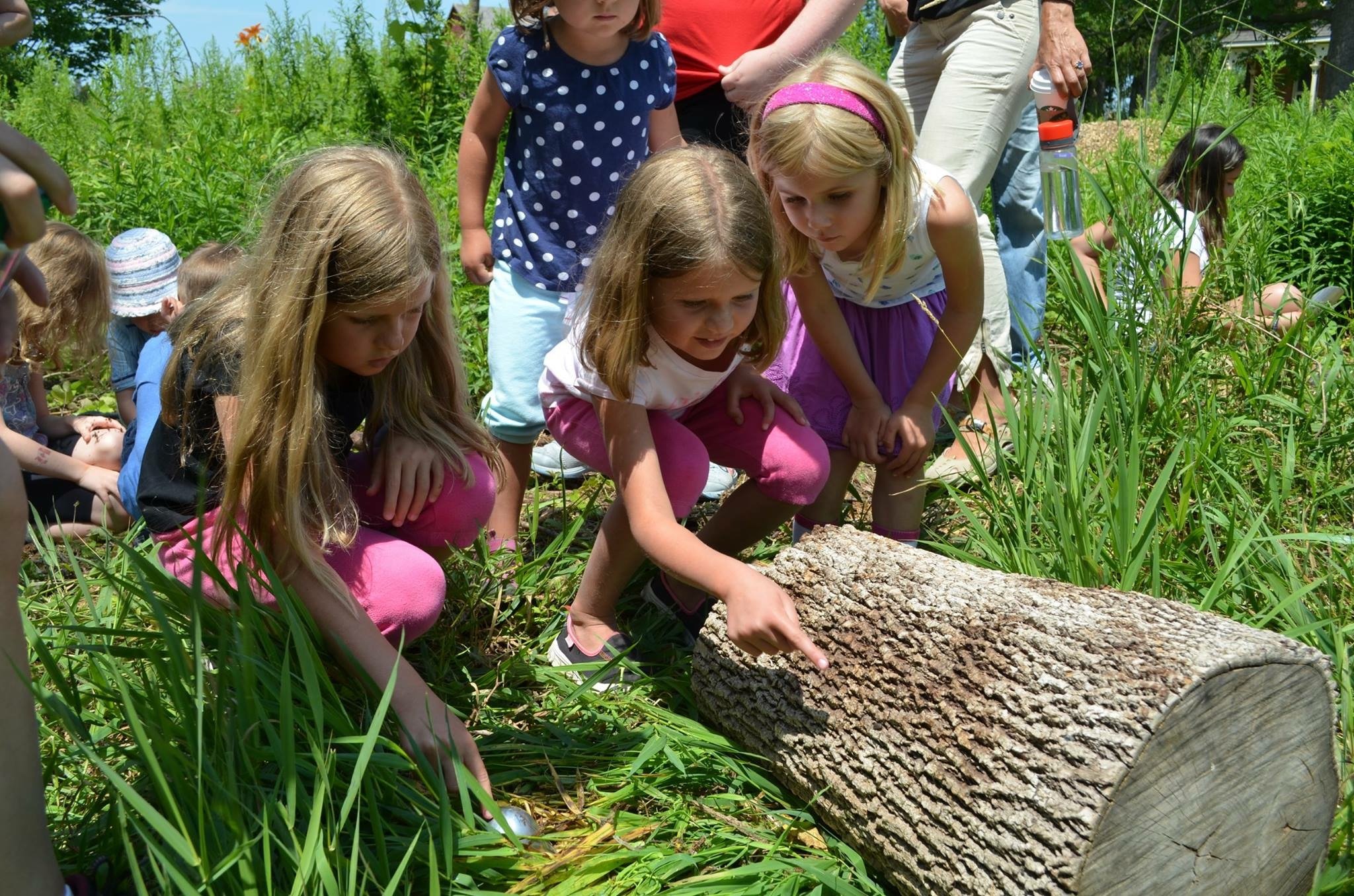 Kids exploring nature - examining a large tree log.