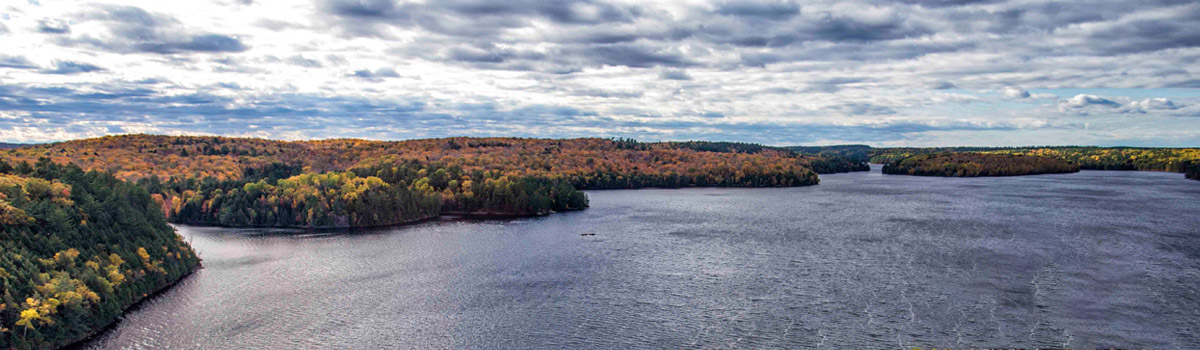 Scene overlooking a lake