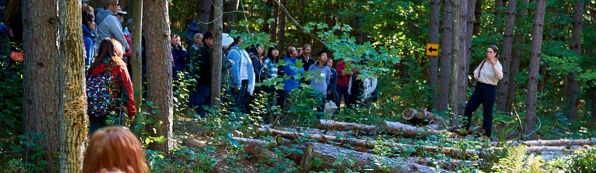 Group of people listening to event at a park