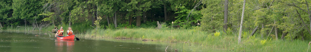 Two people canoeing along a shoreline