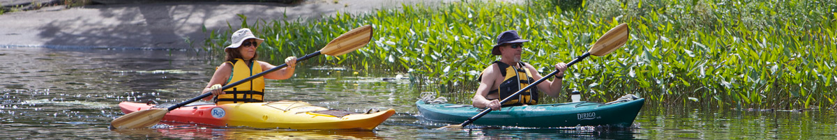 Two people kayaking along the shoreline