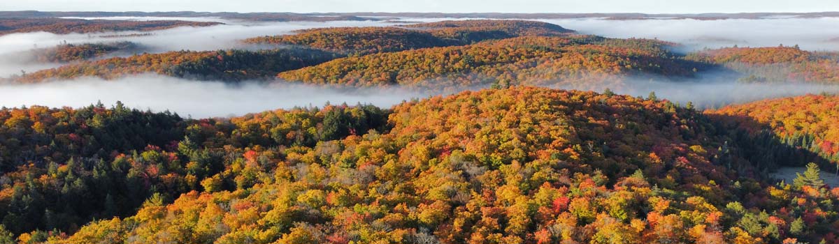 Algonquin