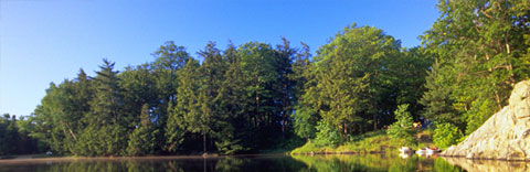 Oastler Lake - Beachside Campground — photo 6