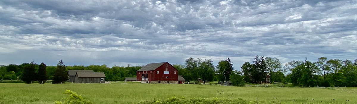 Bronte Creek