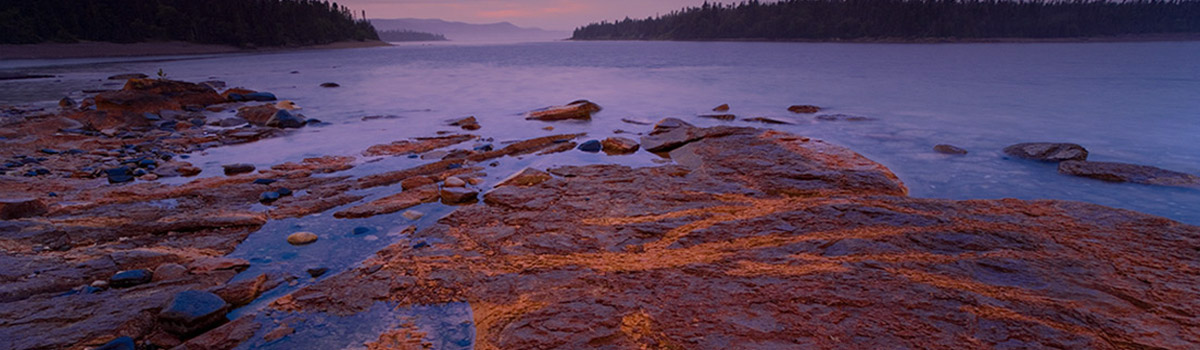 Shoreline of Lake