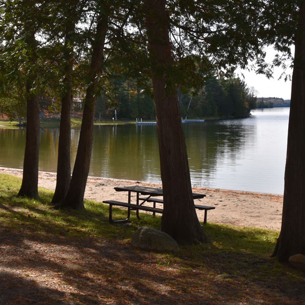 picnic table on shoreline