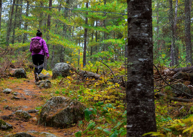 Hiking