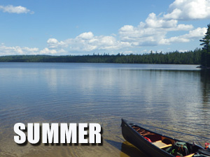 Summer