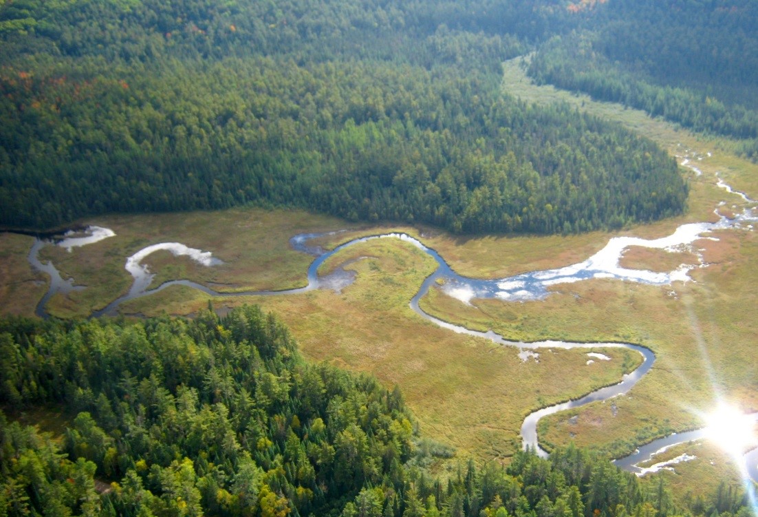 An example picture of a healthy park environment