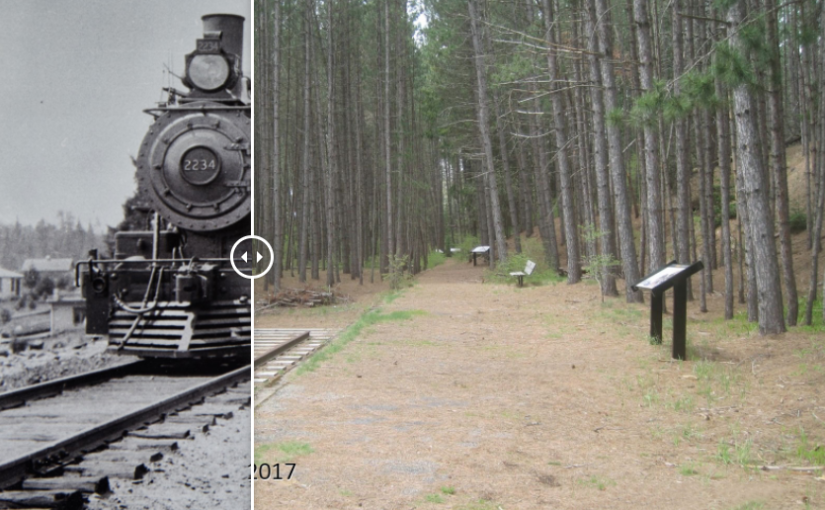 Une image d’hier et d’aujourd’hui superposée du sentier Railway du parc Algonquin