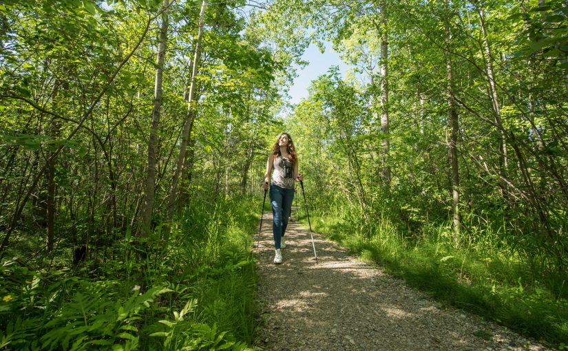 Une femme en randonnée dans la forêt