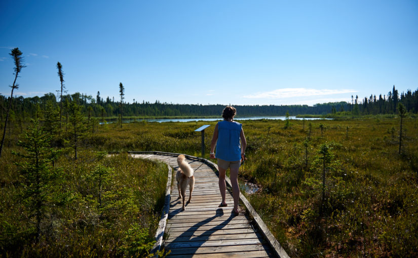 Femme avec un chien en laisse sur le sentier Fen Lake, Blue Lake