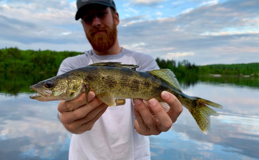 Pêcher au parc provincial White Lake
