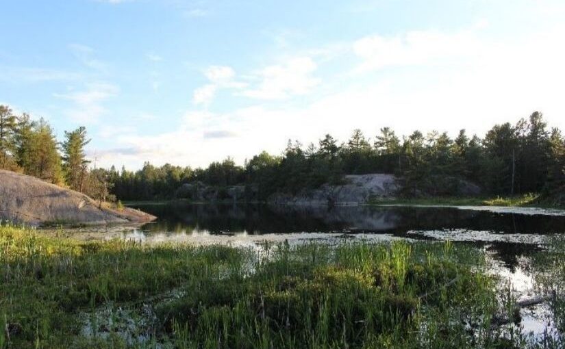 Les meilleurs attraits d’un été dans le Nord de l’Ontario, selon un naturaliste du Sud