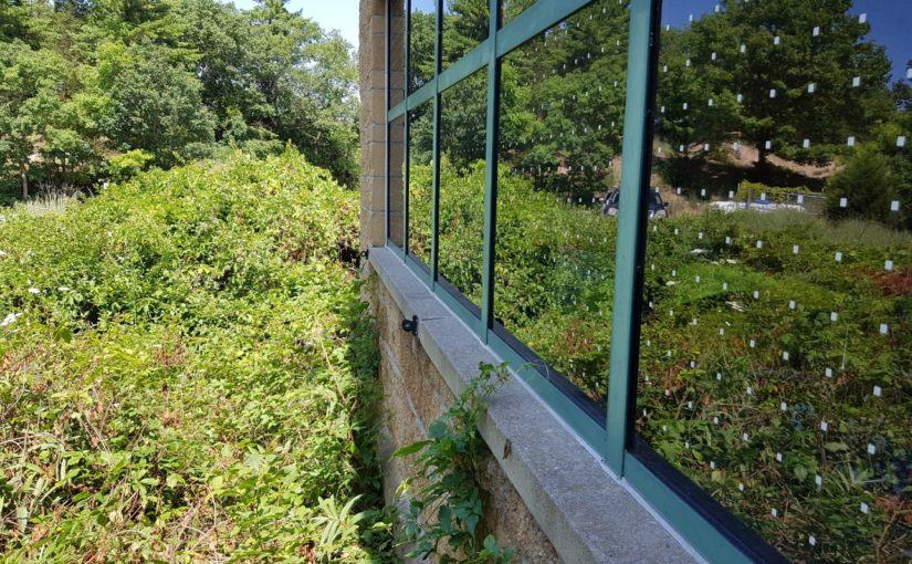 Des fenêtres à pois au parc provincial Pinery