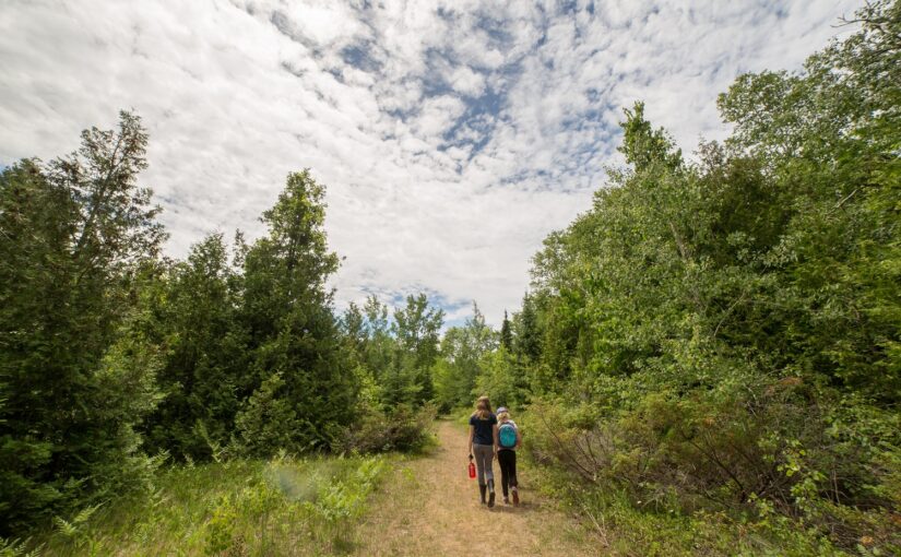 Deux randonneurs sur un sentier menant à la forêt sous un ciel bleu avec des nuages blancs