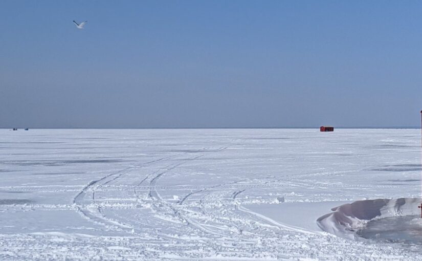 Sous la glace : l’hiver au lac Simcoe
