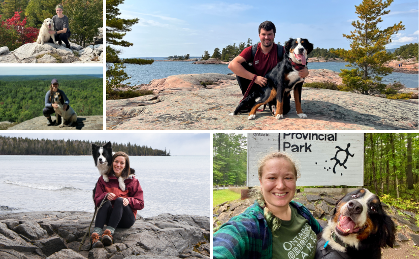 collage of staff with pets on leash in nature