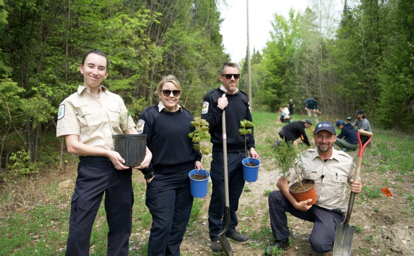 4 staff members planting trees