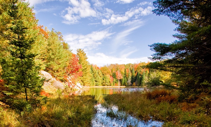 Explore fall colours at these gems