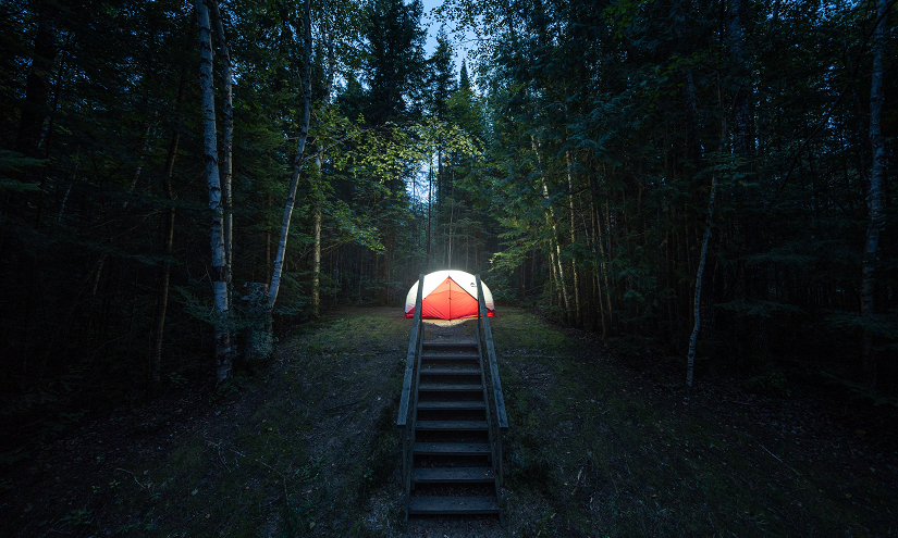 tent surrounded by forest