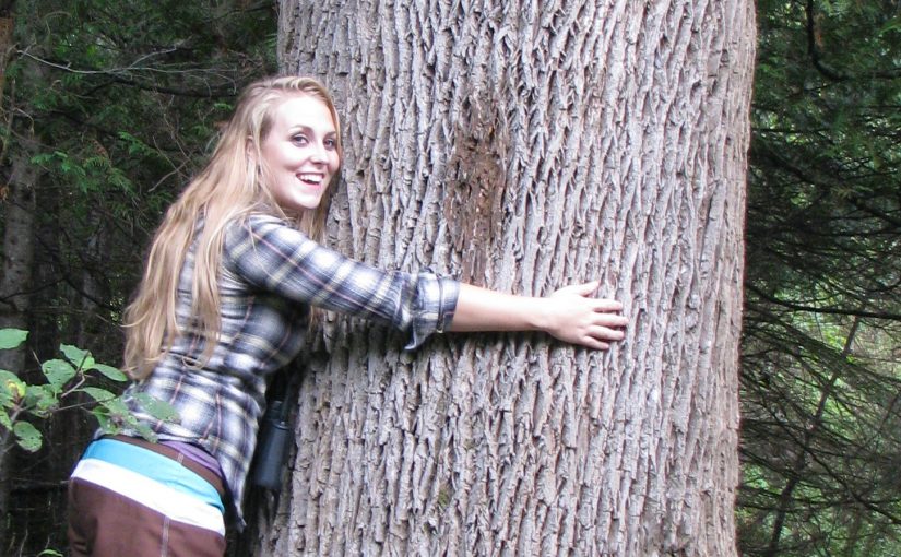 A person hugging a giant tree