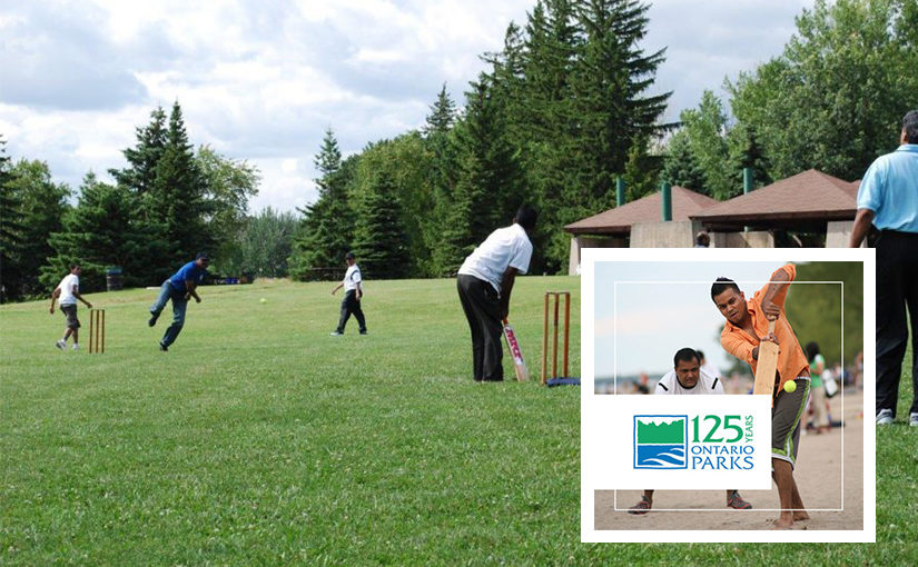 cricket players on grass with OP125 logo