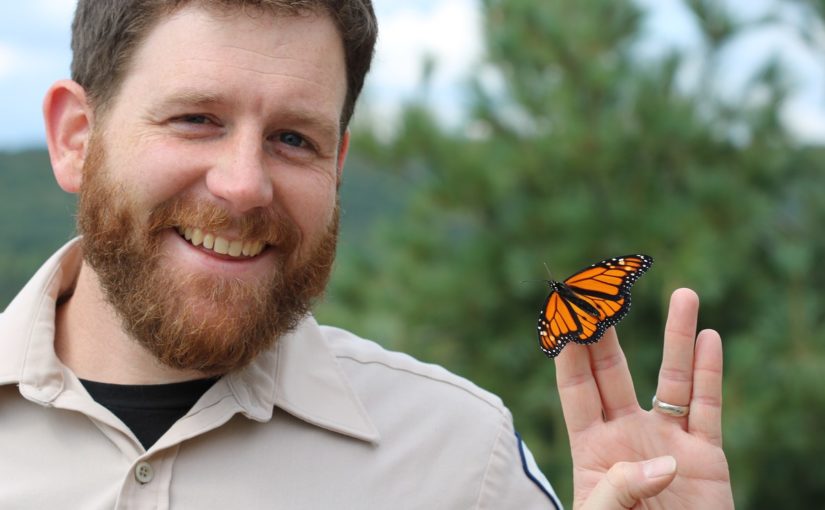 staff with monarch butterfly