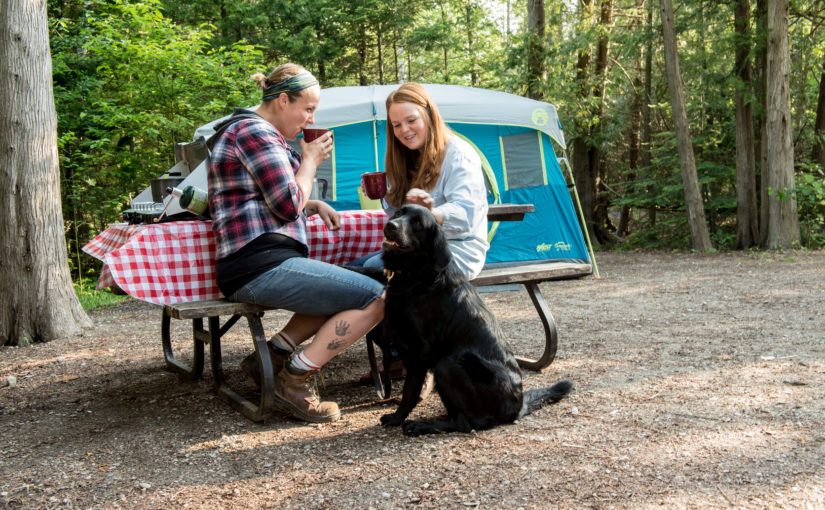 Why Ontario Parks moved to 100% reservable car campsites