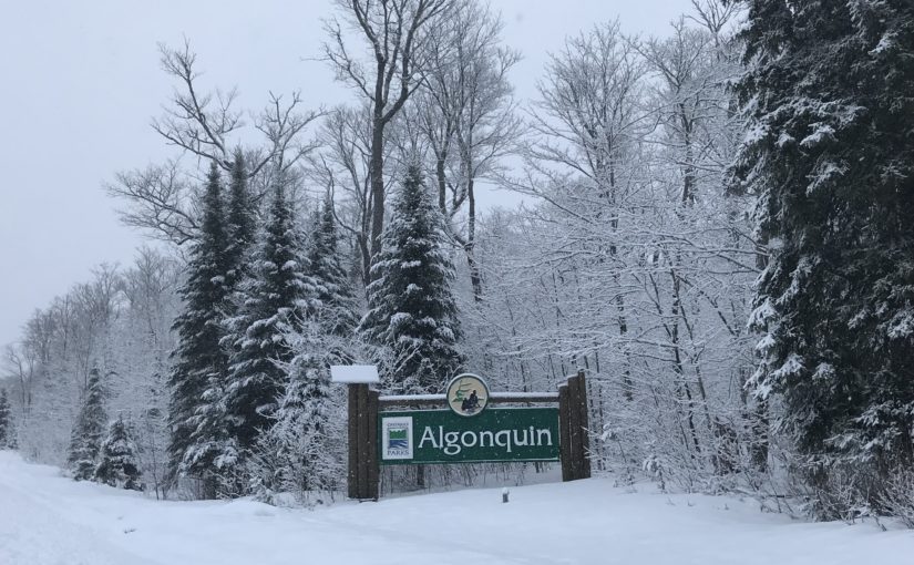 Winter adventures at Algonquin Provincial Park