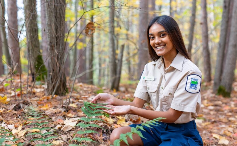 How to become a park ranger at Ontario Parks