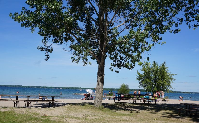 waterfront and beach at Sibbald Point