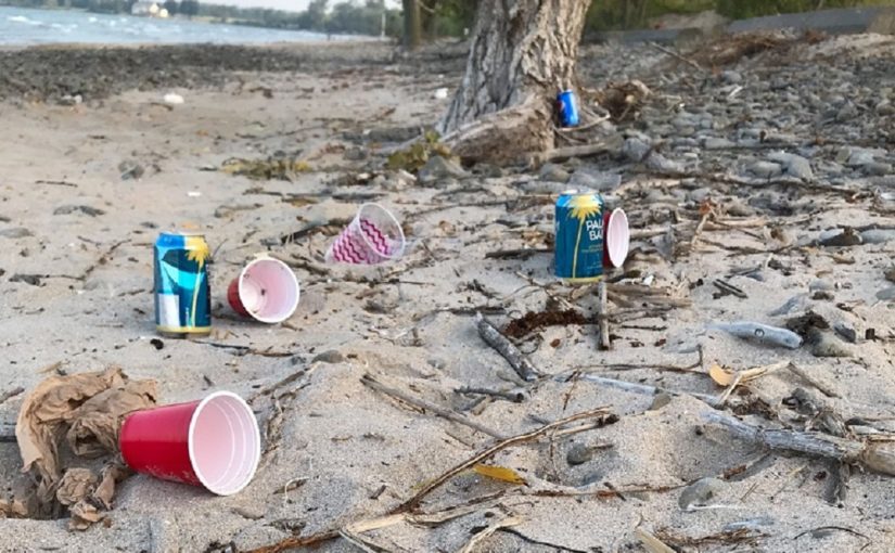 Worst of the worst: a naturalist’s list of the most harmful types of litter