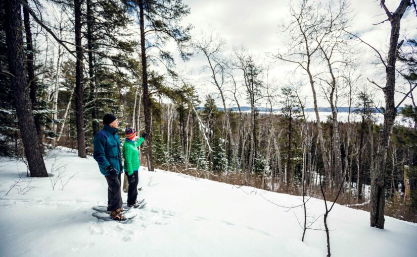 Two people on snowshoes looking at snowy forest view