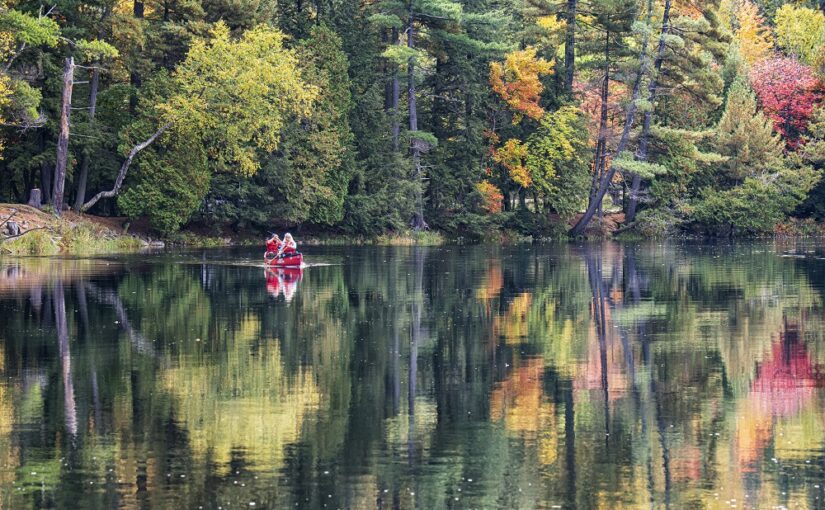 Paddling canoe during peak fall colours
